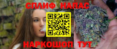 прущие крисы Будённовск