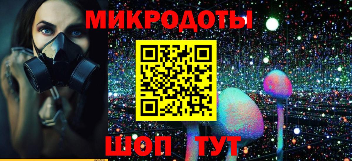 Псилоцибиновые грибы Psilocybine cubensis  наркошоп  Урус-Мартан  Вход с VPN  Галлюциногенные грибы Psilocybine cubensis 